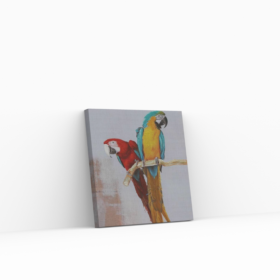 Macaws