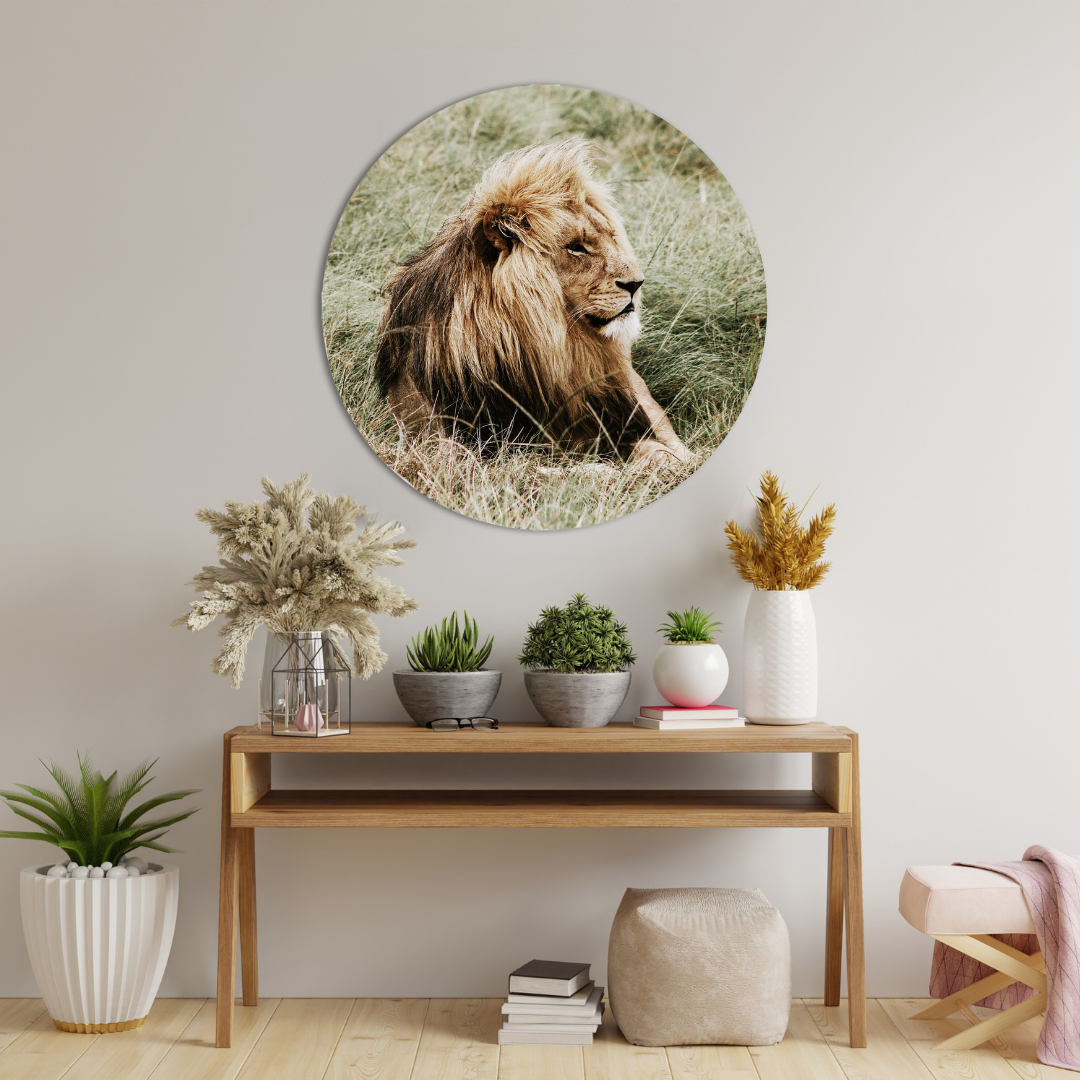 Glasschilderij - Liggende leeuw - 80cm rond