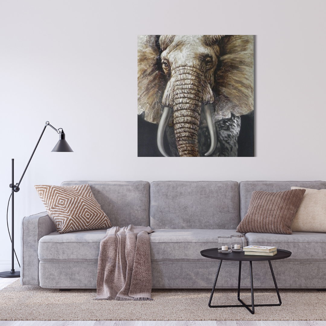Grey olifant