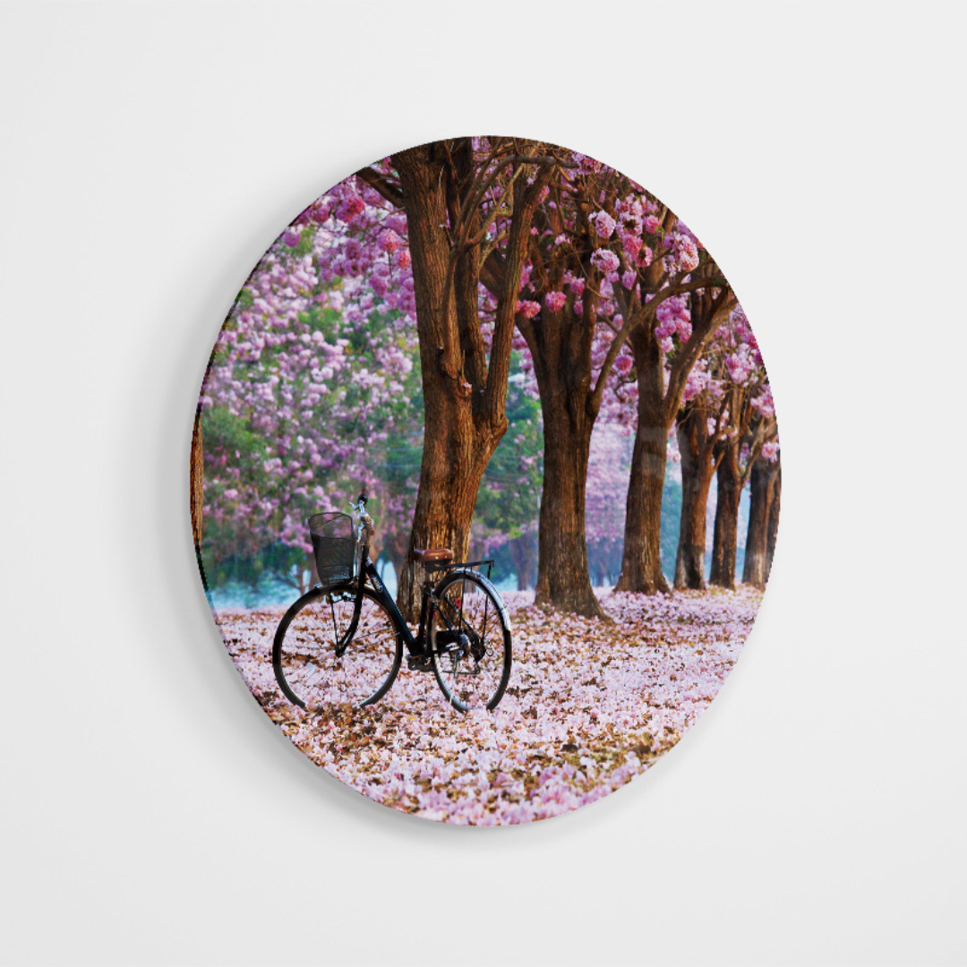 Glasschilderij - Bloesem - 80cm rond