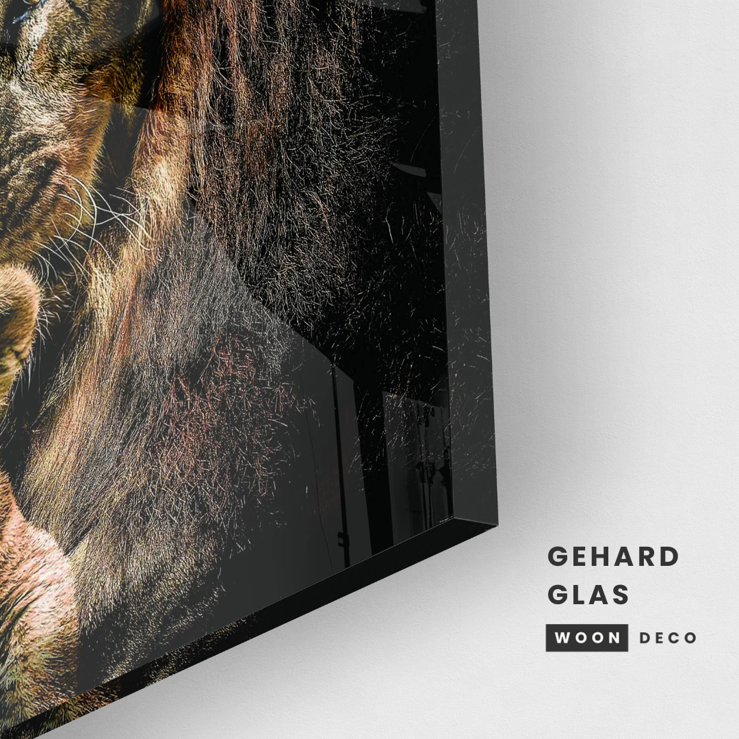Glasschilderij - Lion family - 80x80cm