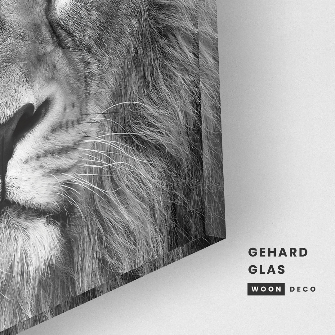 Glasschilderij - Lion black and white - 80x80cm
