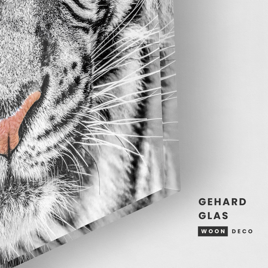 Glasschilderij - Tiger black and white - 80x80cm