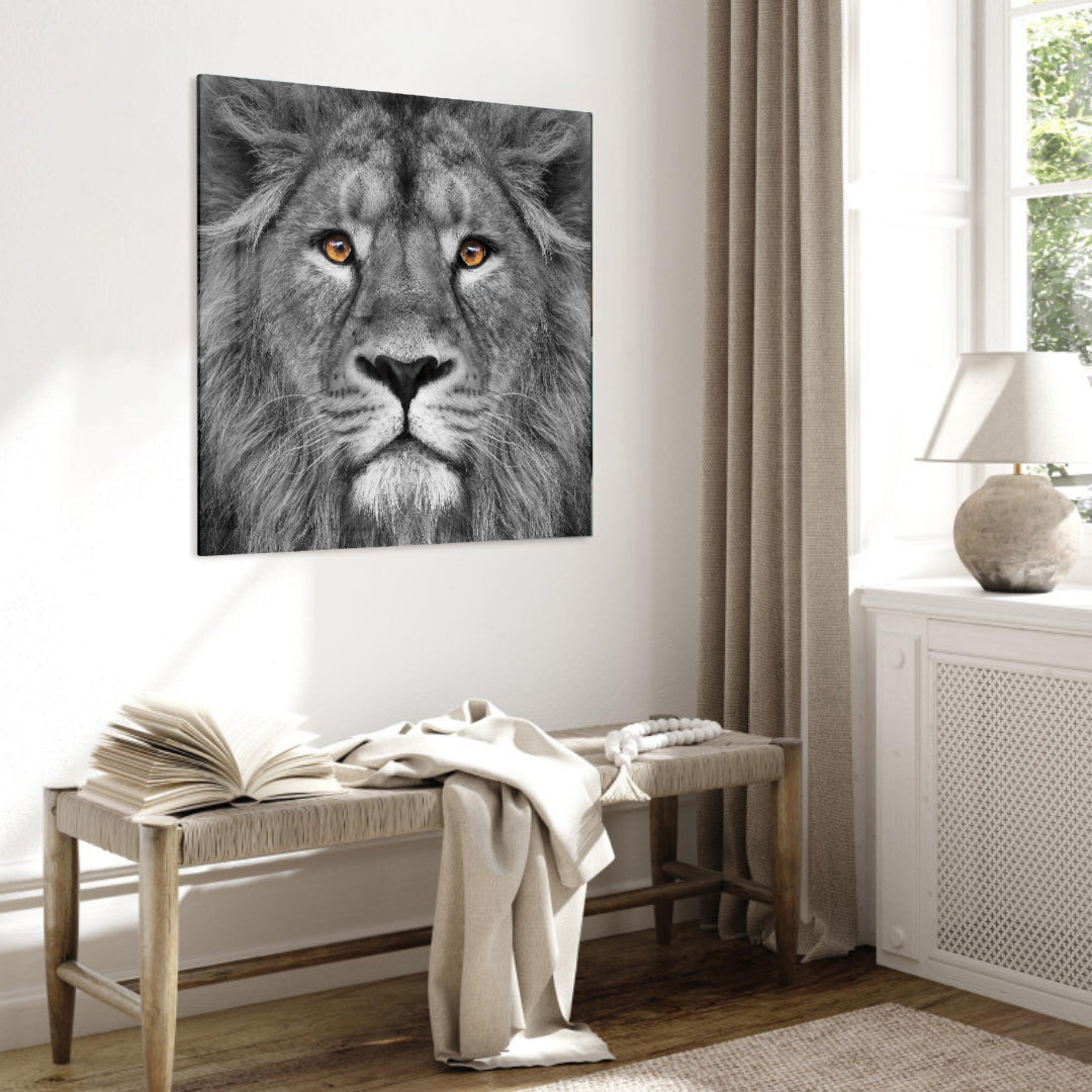 Glasschilderij - Lion black and white - 80x80cm