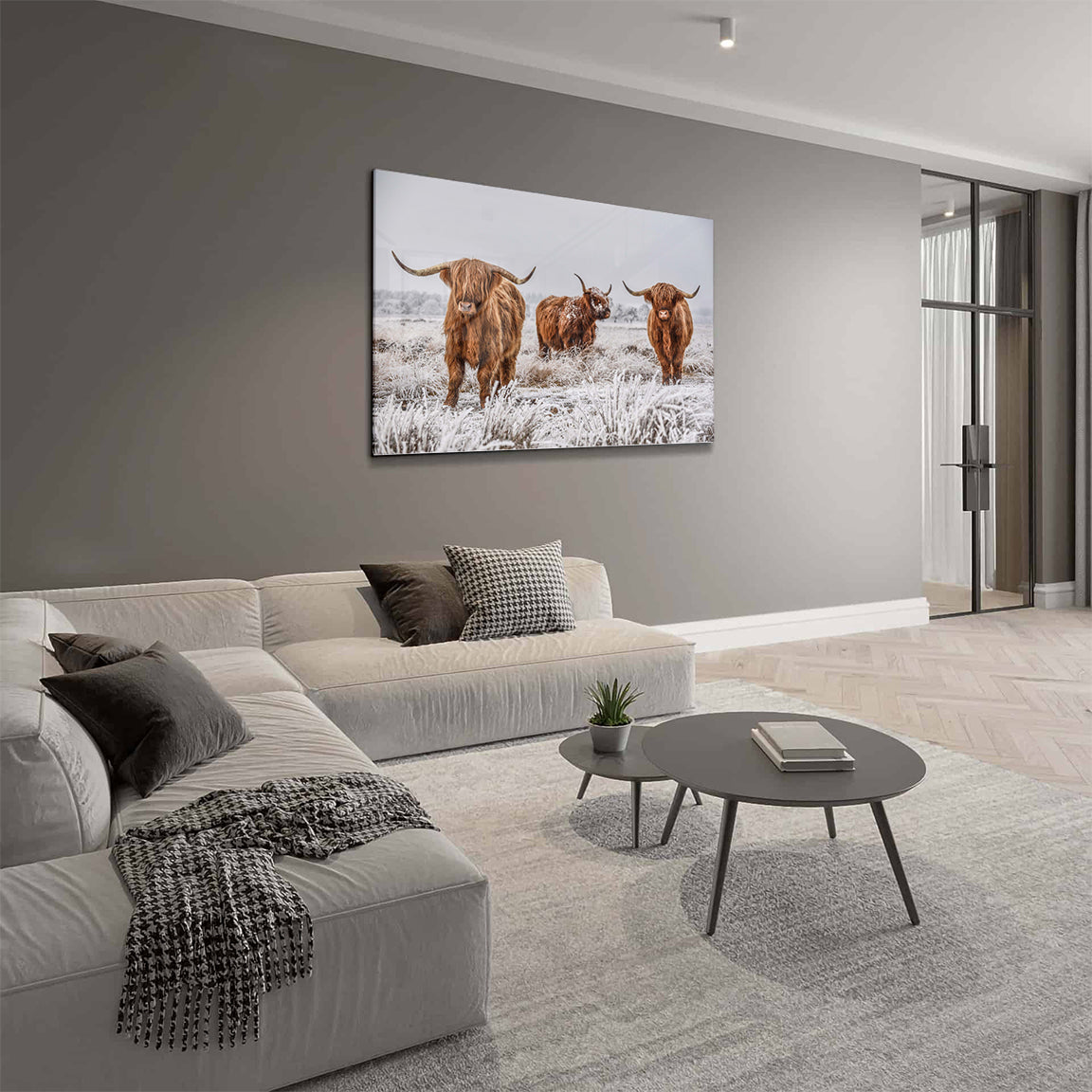 Glasschilderij - Schotse hooglander familie - 120x80cm