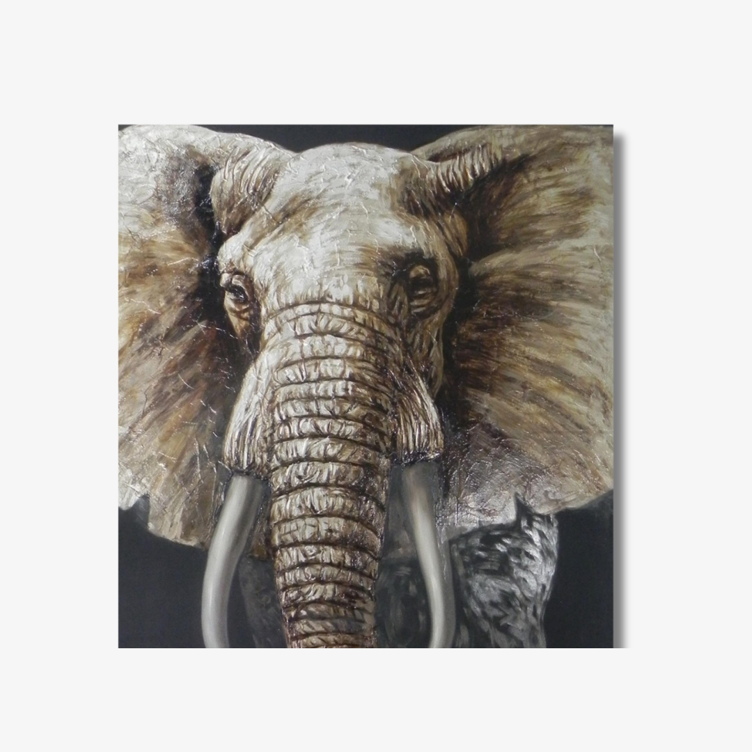 Grey olifant