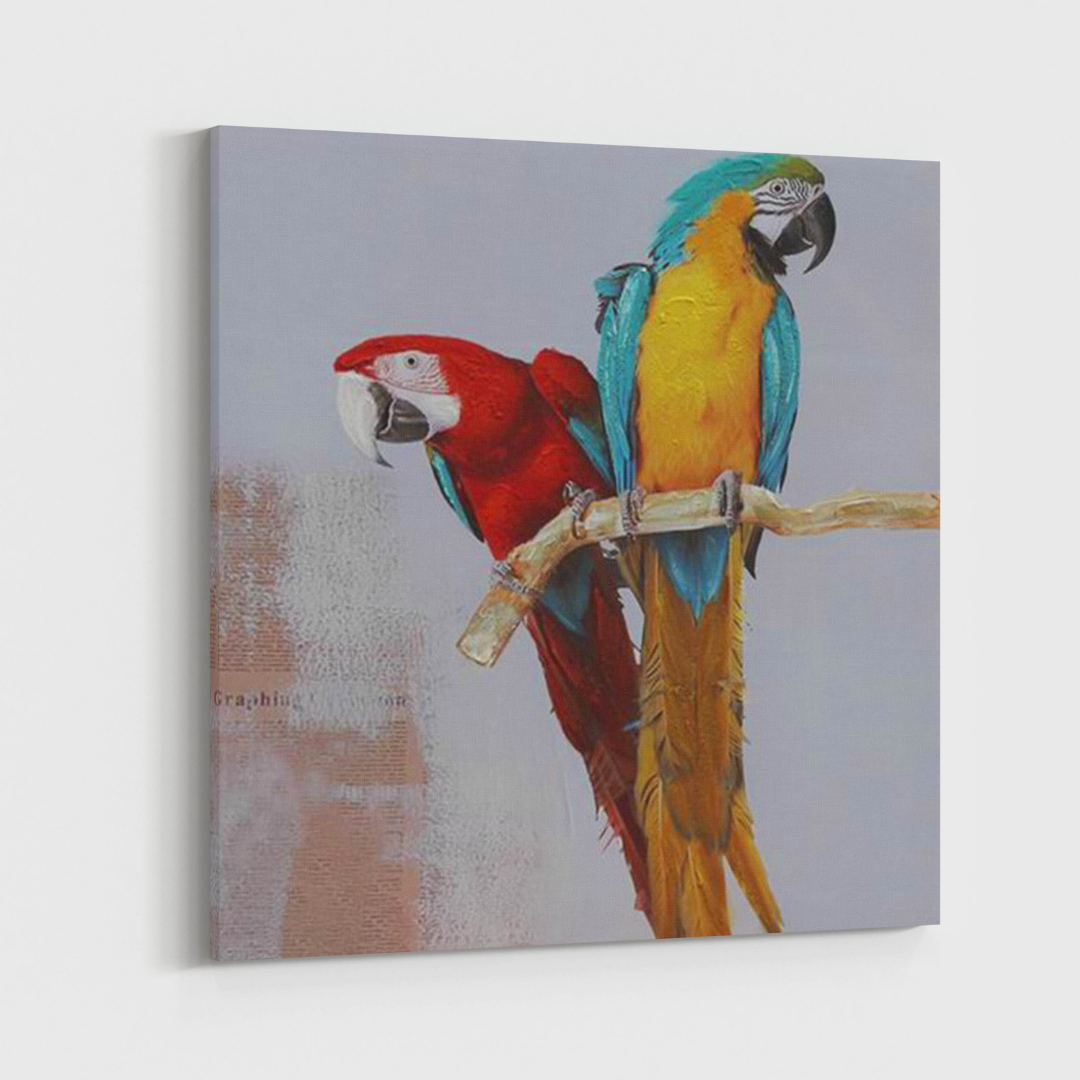 Macaws