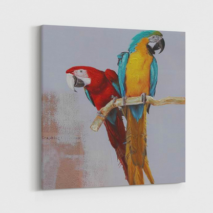 Macaws