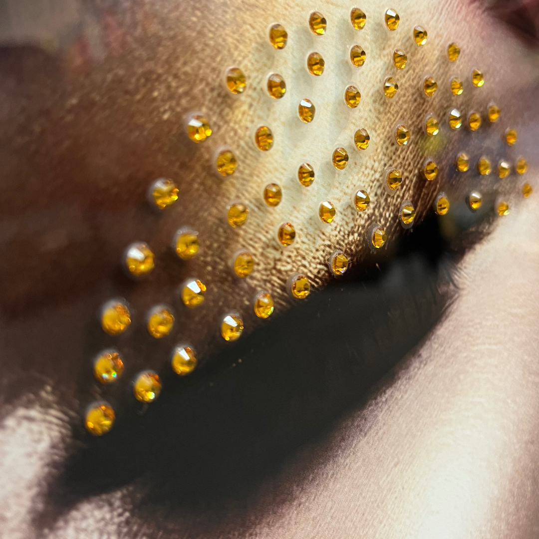 Strass Glasschilderij - Women With Lion - 80x120cm