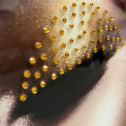 Strass Glasschilderij - Women With Lion - 80x120cm