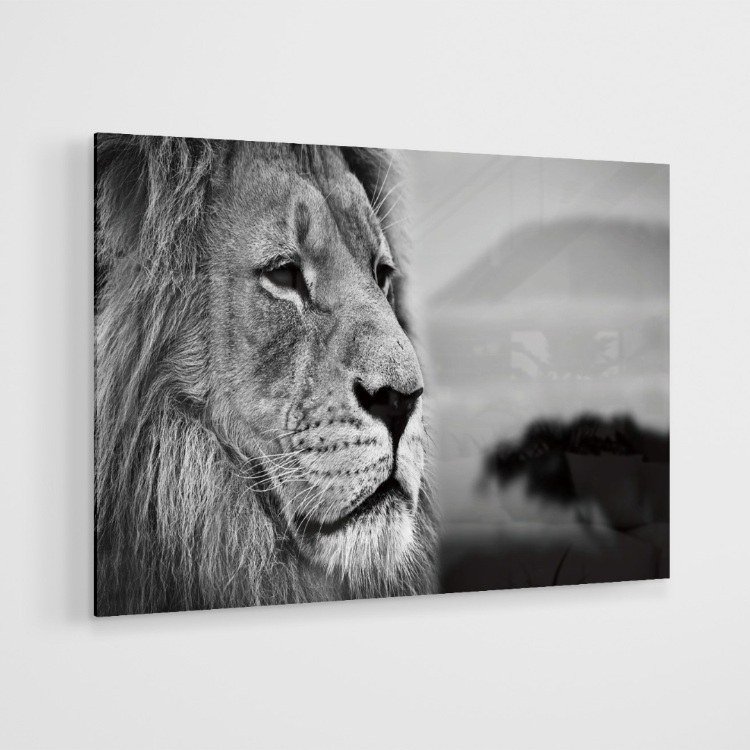 Glasschilderij - Lion king - 120x80cm