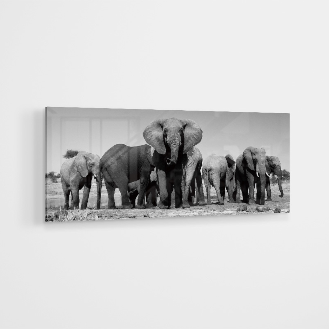 Glasschilderij - Elephant family - 120x80cm