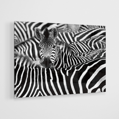 Glasschilderij - Zebra´s - 120x80cm