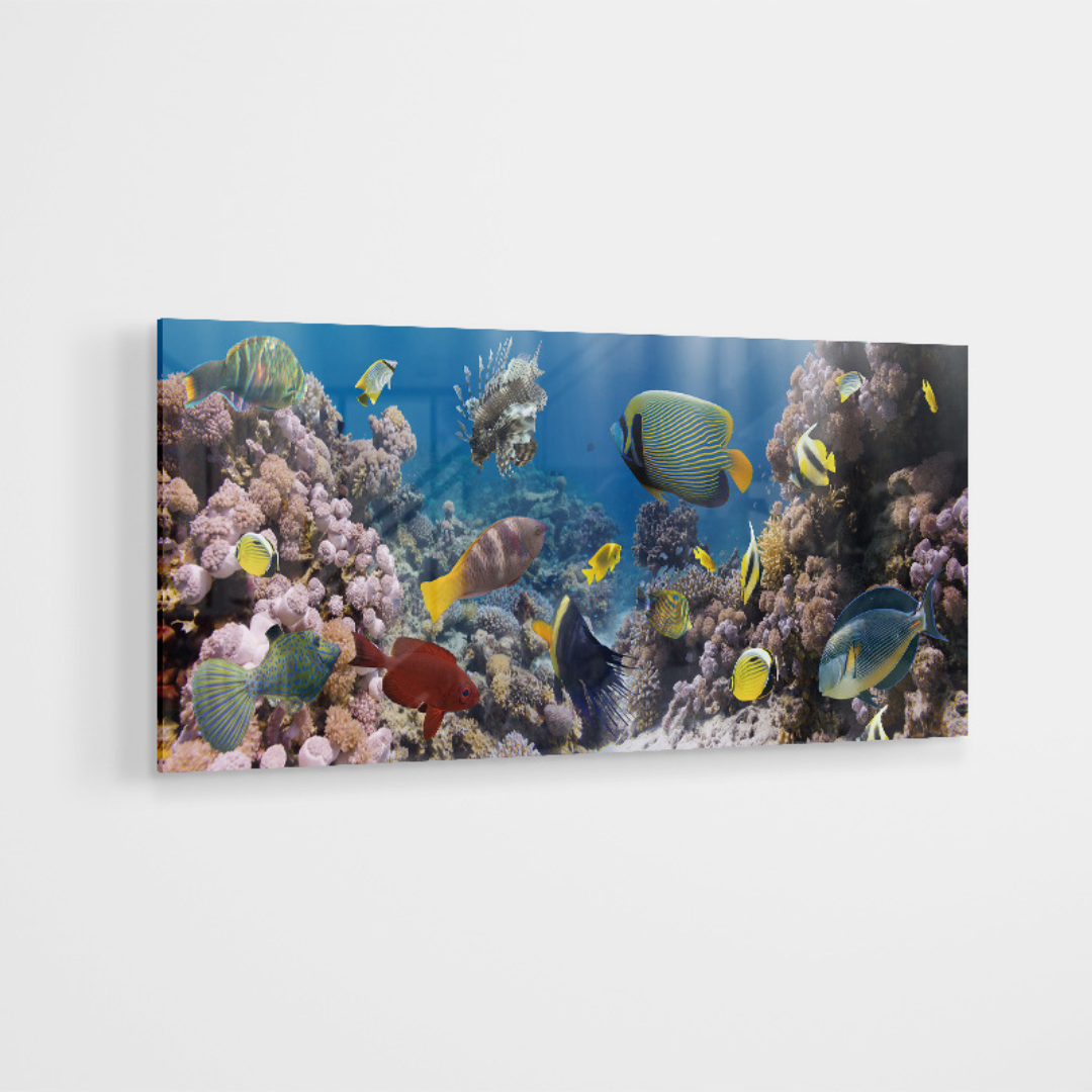Glasschilderij - Underwater world - 60x160cm