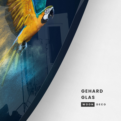 Glasschilderij - Parrot -100cm rond