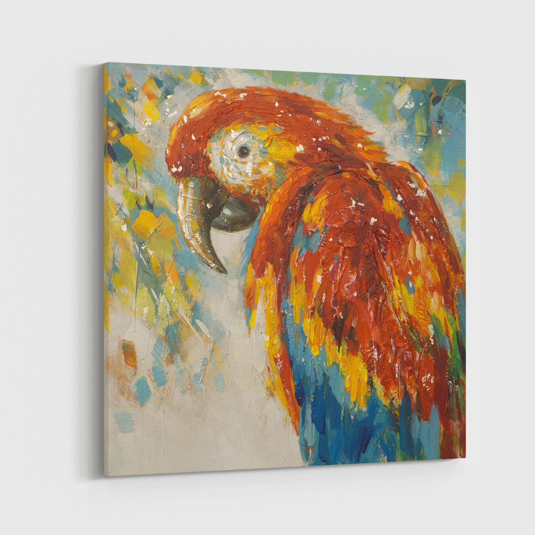 Colorful Parrot