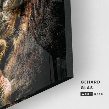 Glasschilderij - Lion family - 80x80cm