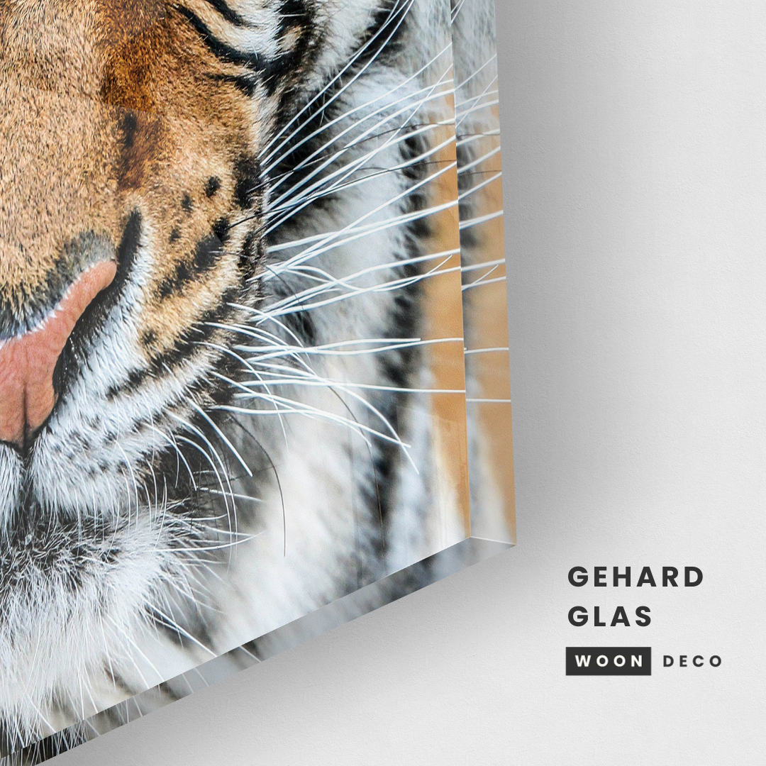 Glasschilderij - Tiger - 80x80cm