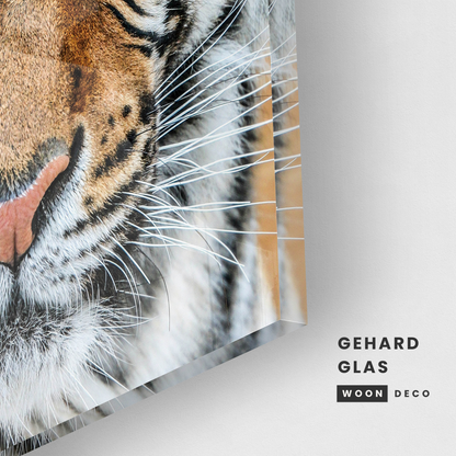 Glasschilderij - Tiger - 80x80cm