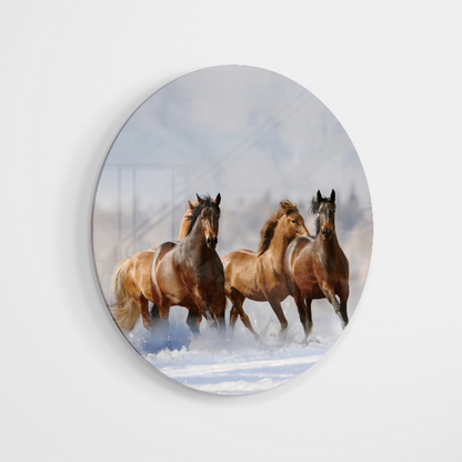 Glasschilderij - Kudde paarden - 80cm rond