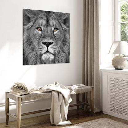 Glasschilderij - Lion black and white - 80x80cm