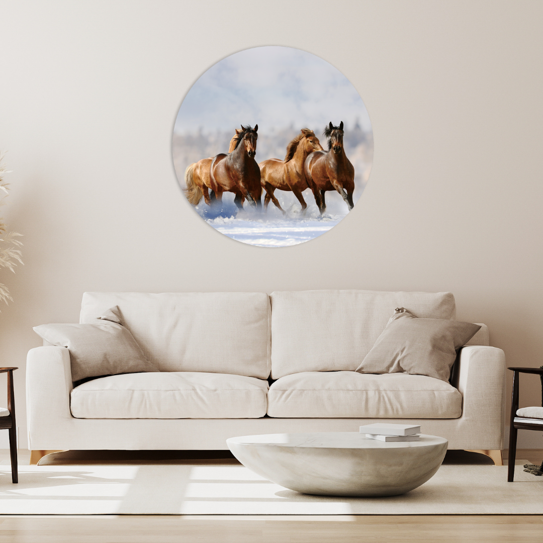 Glasschilderij - Kudde paarden - 80cm rond