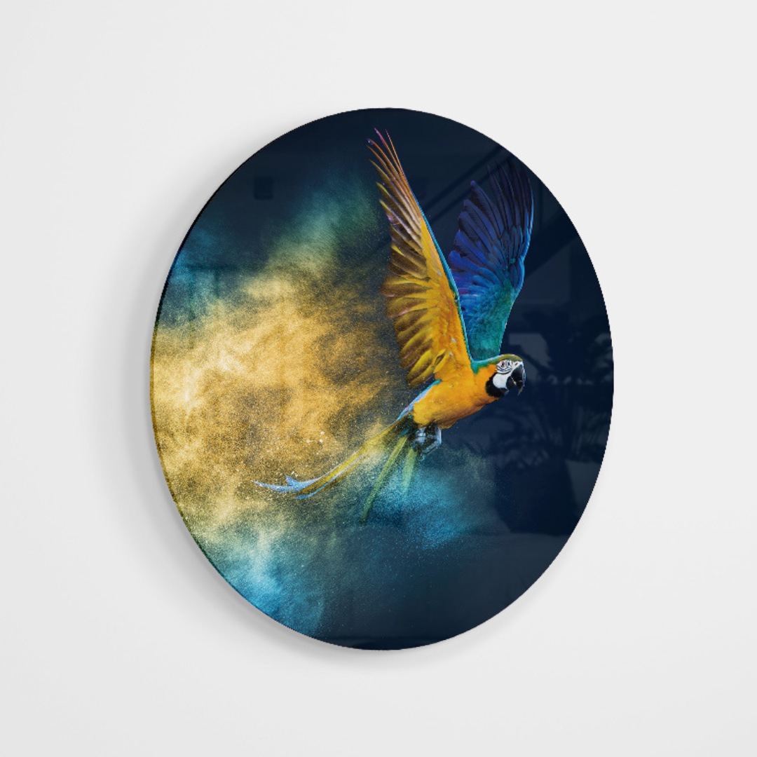 Glasschilderij - Parrot -100cm rond