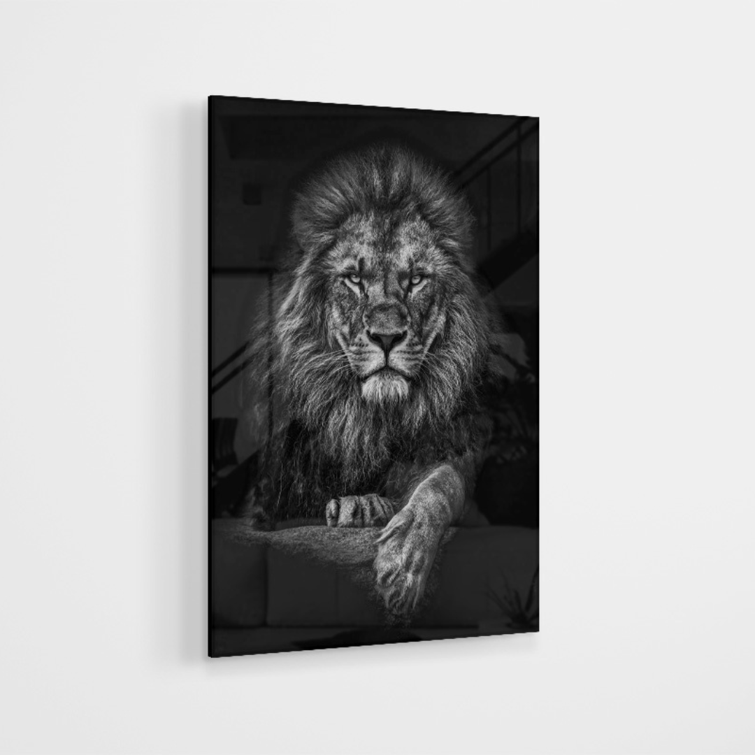 Glasschilderij - Black and white Lion - 80x120cm