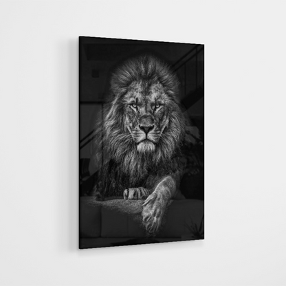 Glasschilderij - Black and white Lion - 80x120cm