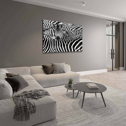 Glasschilderij - Zebra´s - 120x80cm