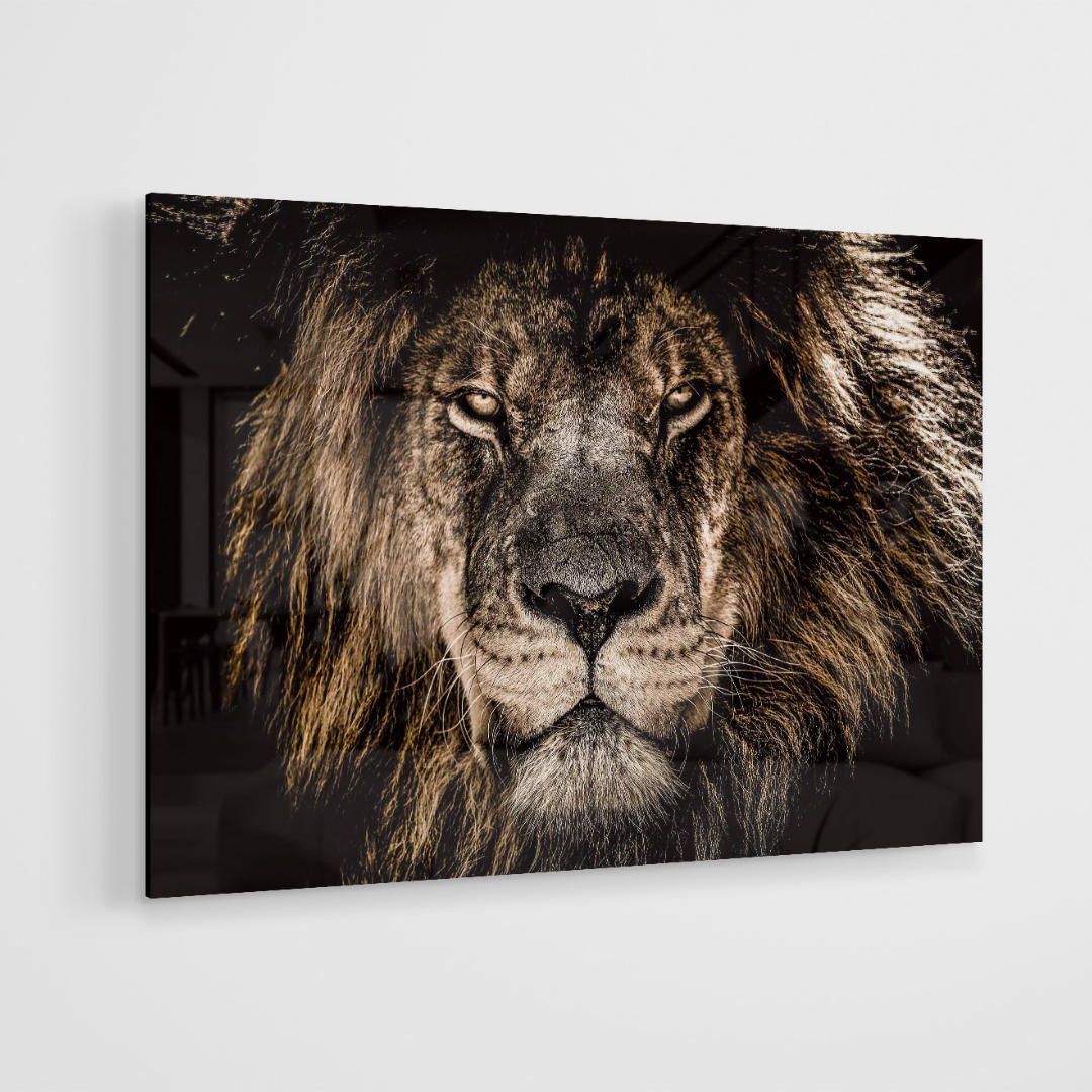 Glasschilderij - Dangerous Lion - 120x80cm