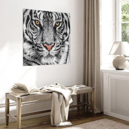 Glasschilderij - Tiger black and white - 80x80cm